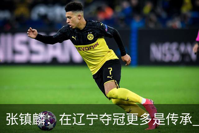张镇麟：在辽宁夺冠更多是传承 在上海夺冠更像是实现自我价值